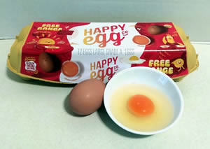 試してみよう：卵編